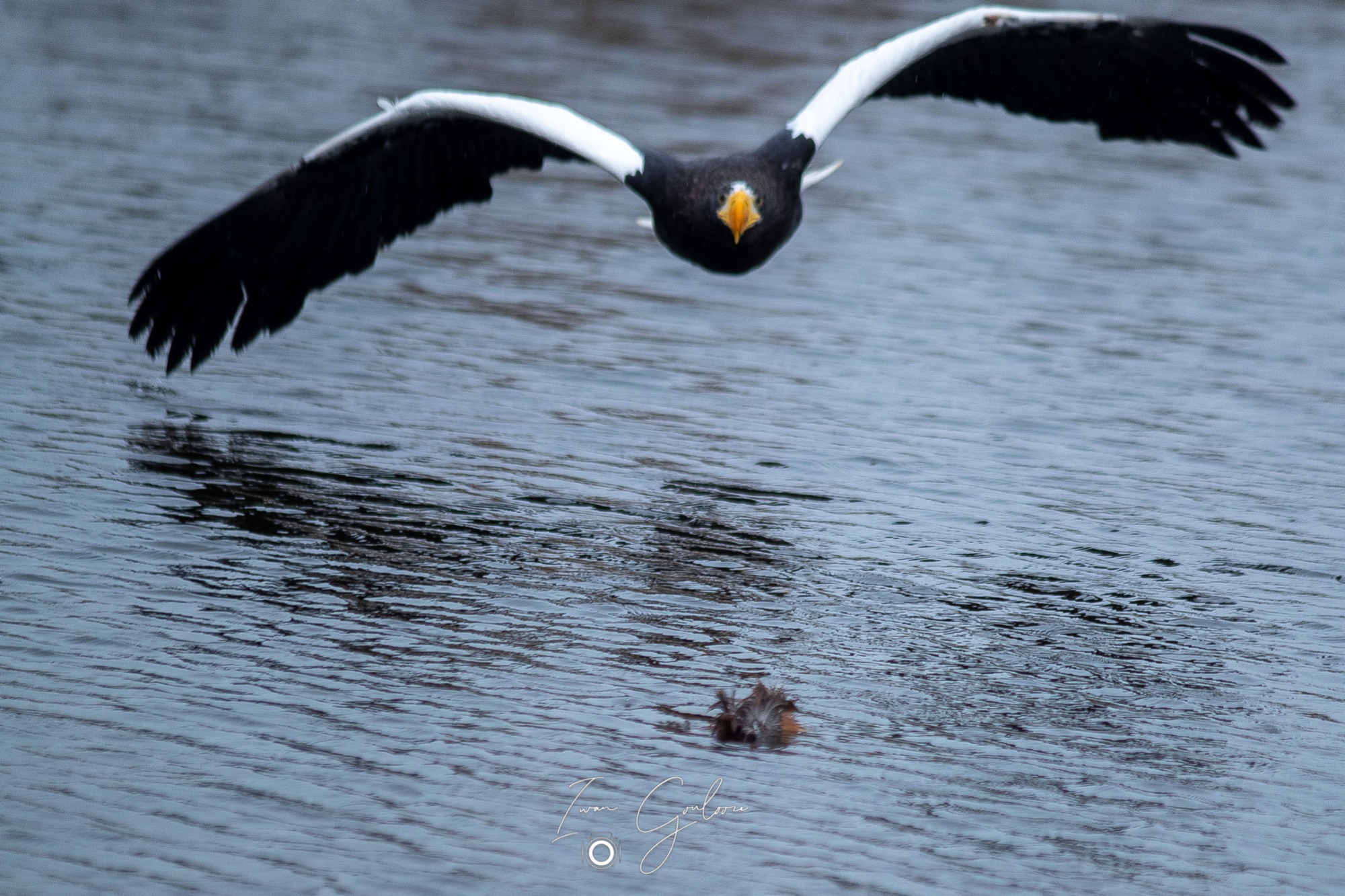 1DX46504 12 december 2021 1338 26